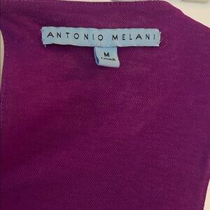 Antonio Melani Vibrant Purple Blouse